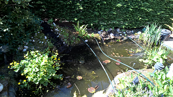 Deze vijver in Vierhouten is vervuild door bladafval. Zelf het net dat is gespannen heeft dit niet kunnen voorkomen